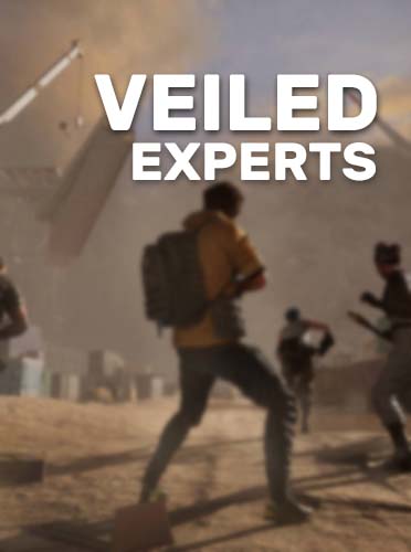 VEILED EXPERTS