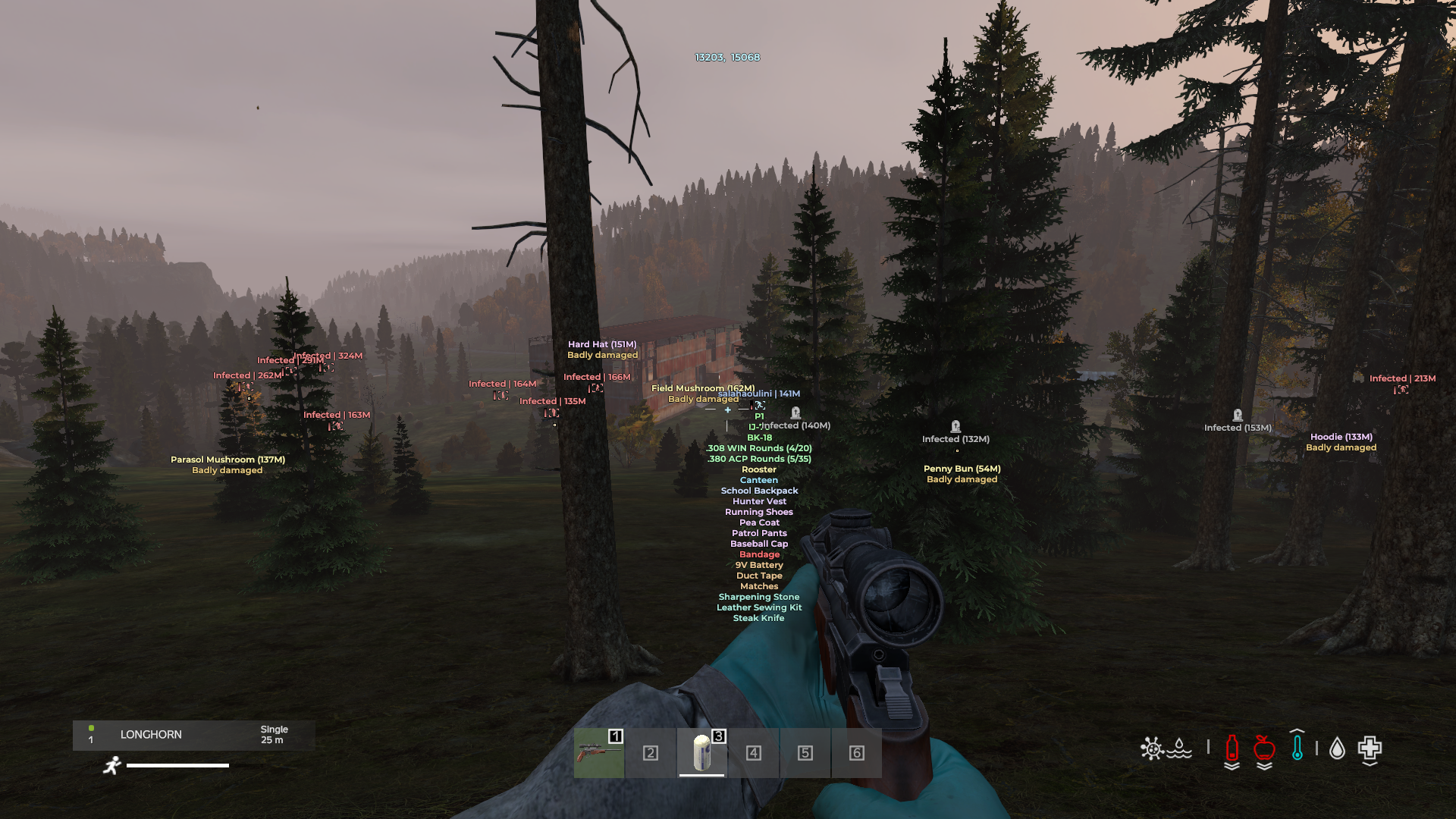 Dayz Medusa Lite