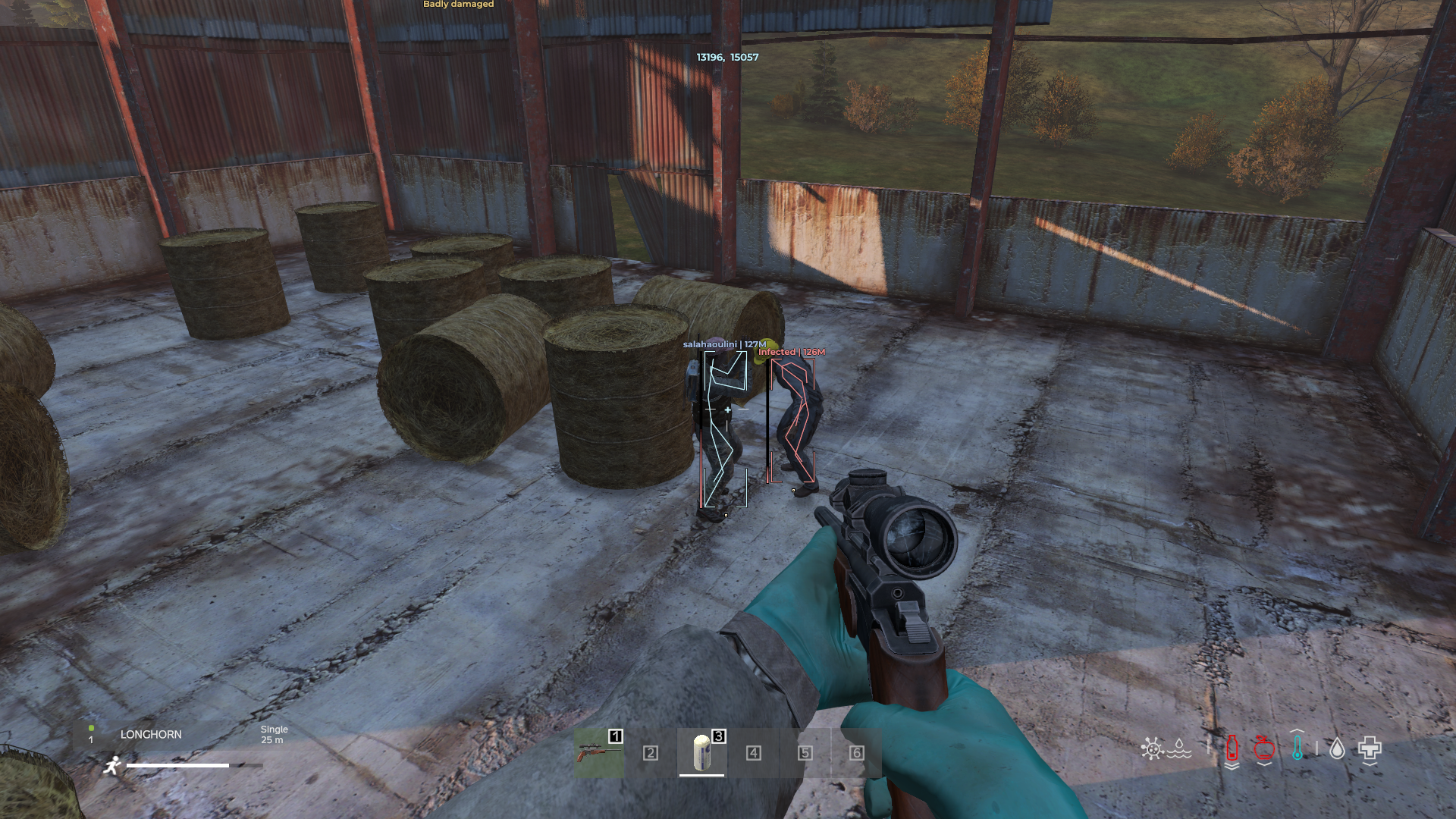 Dayz Medusa Lite 2