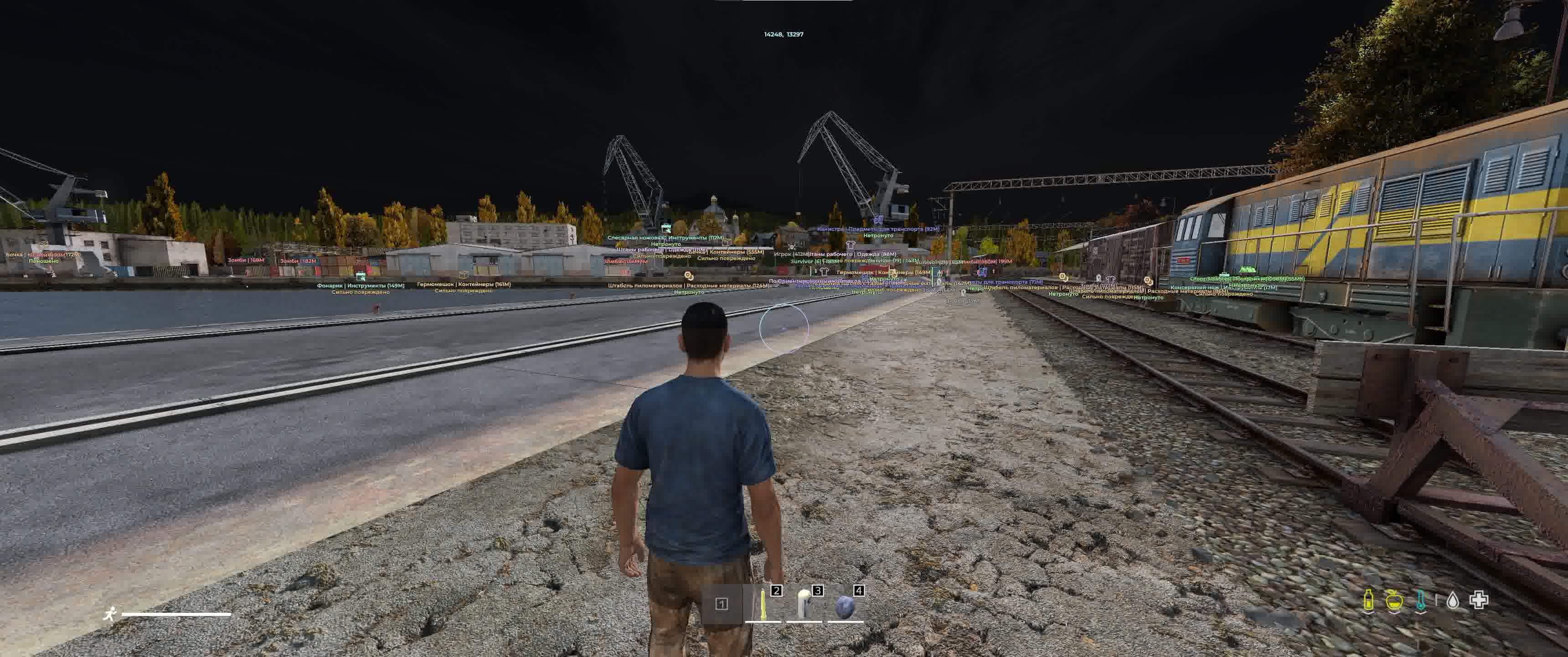 Dayz Medusa 11