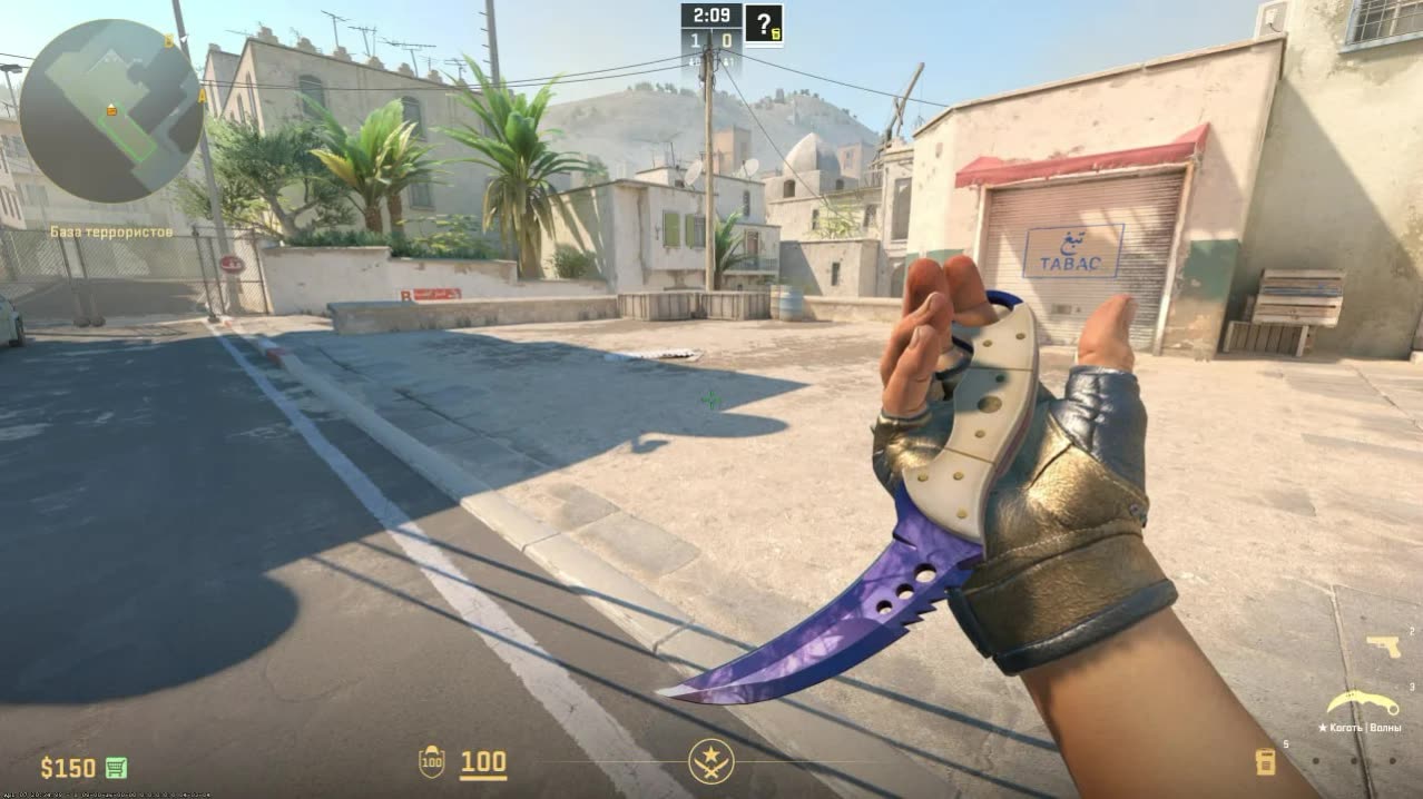 Skinchanger CS 2 5