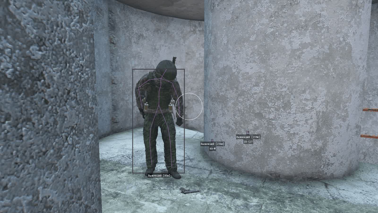 Dayz Phoenix