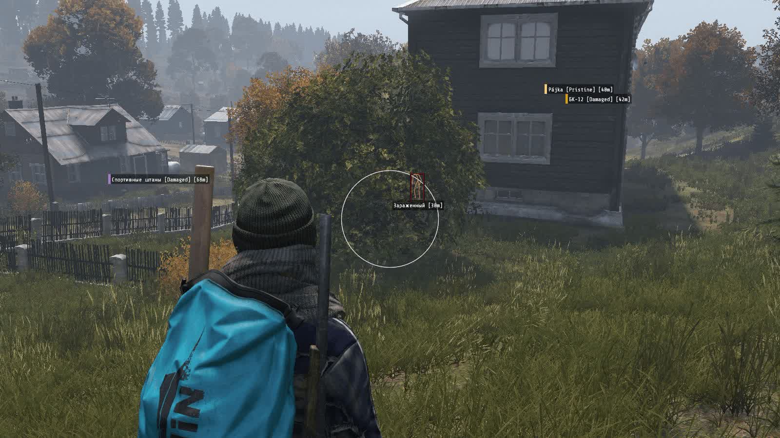 Dayz Phoenix 4