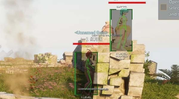 Private Cheat