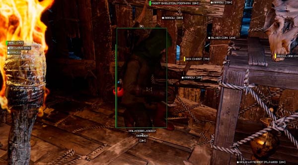 Private Cheat