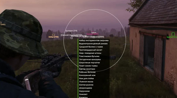 Dullwave DayZ Cheat