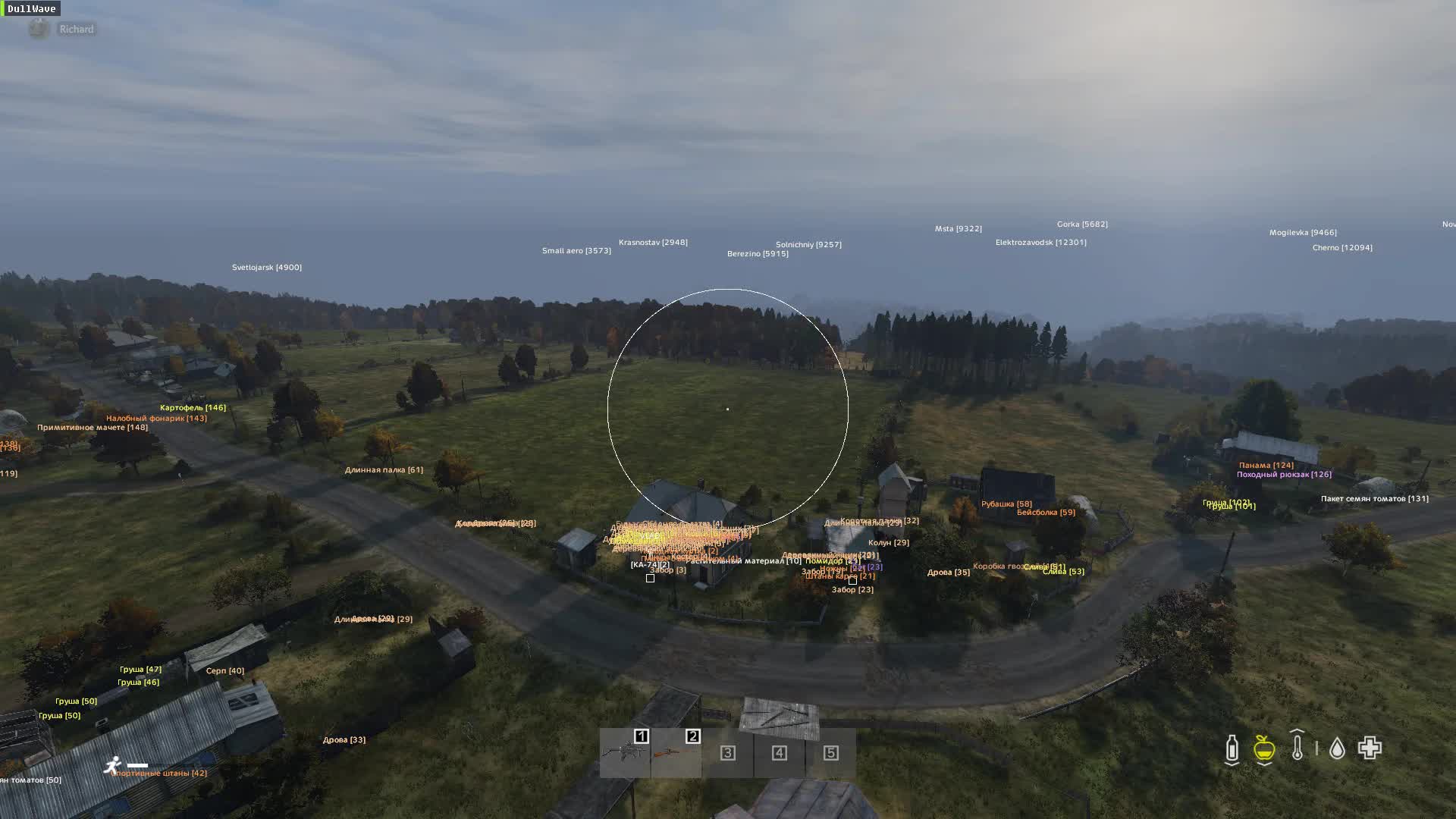 Чит Dayz Dullwave