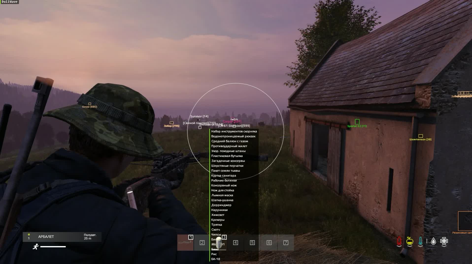 Чит Dayz Dullwave 3