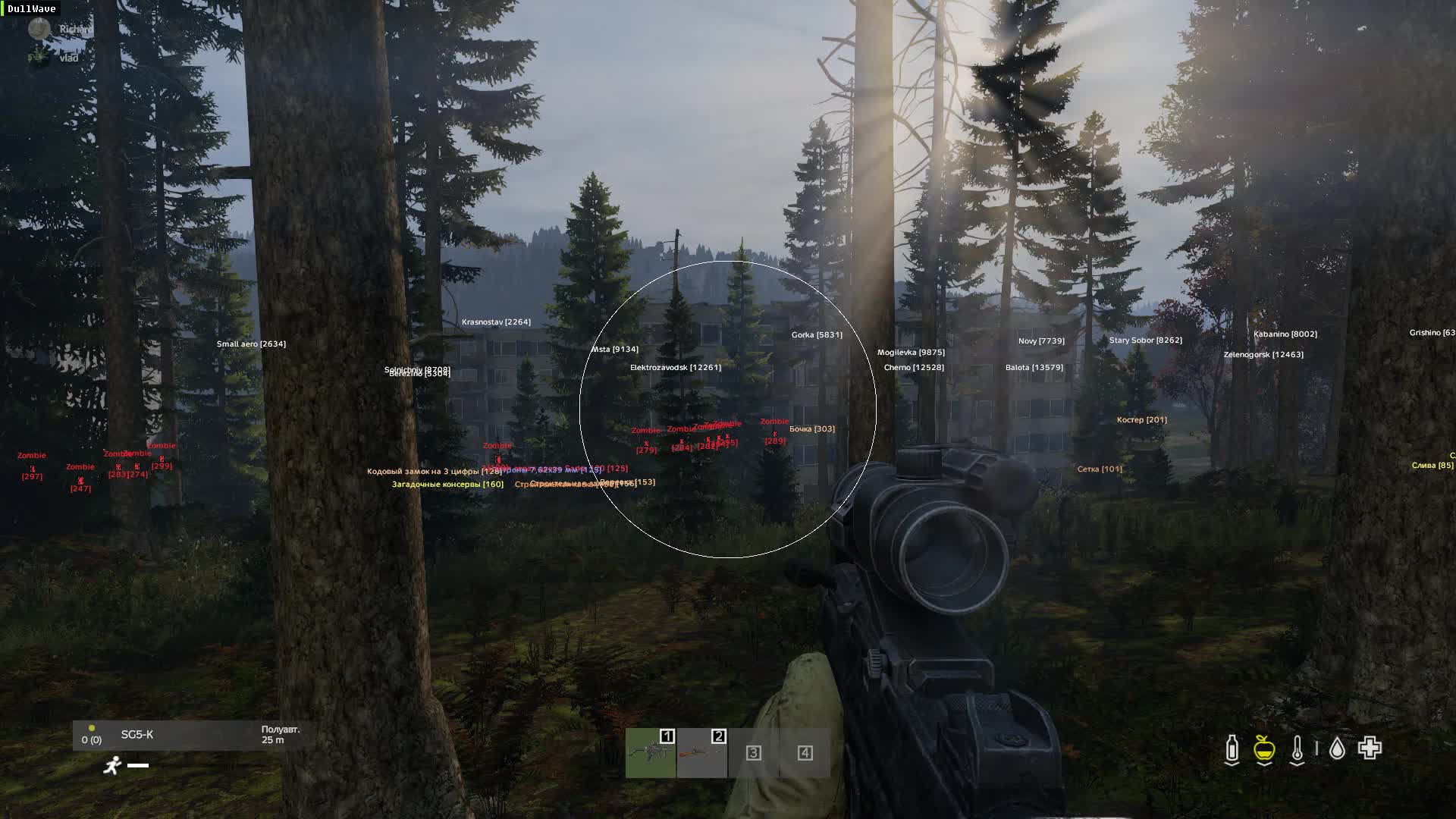 Чит Dayz Dullwave 5