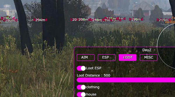 Dayz Covcheg Internal
