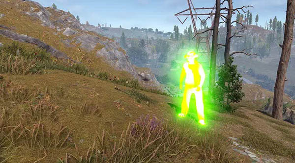 RUST Piratka Alkad Wallhack