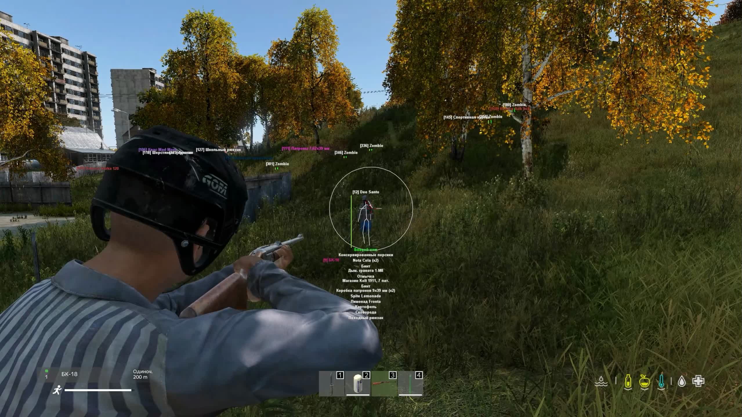 Чит Dayz Collapse 2