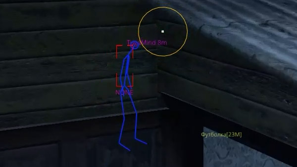 Dayz External