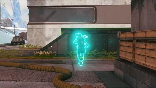 Xray APEX