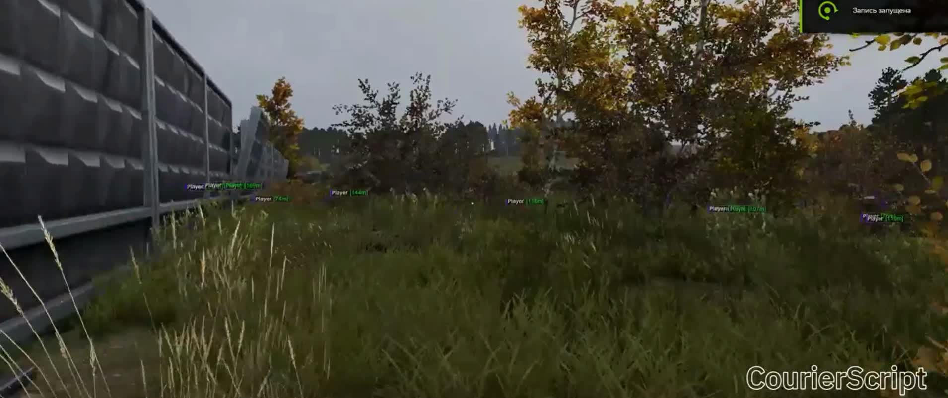 Чит CourierScript для DayZ: ВХ на игроков, зомби и авто - Миниатюра 2