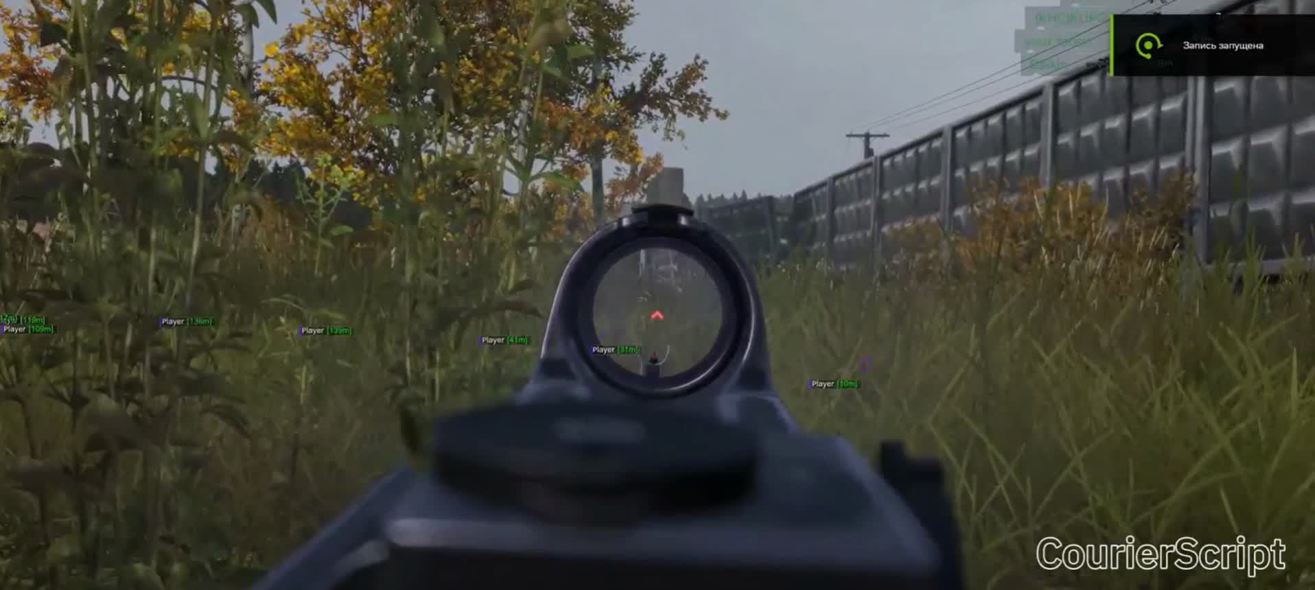 Чит CourierScript для DayZ: ВХ на игроков, зомби и авто - Миниатюра 3