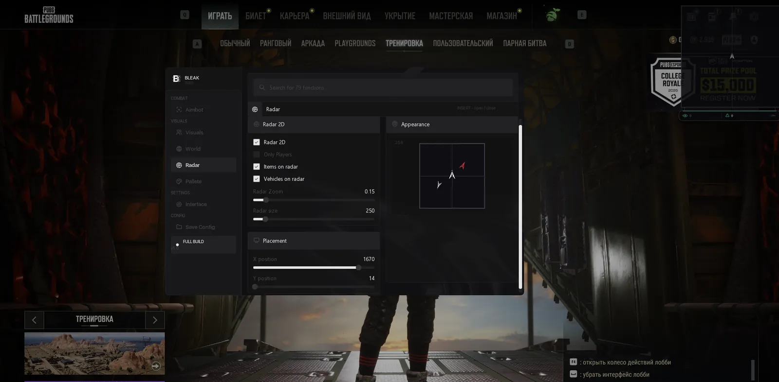 Bleak PUBG 9